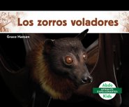 Los Zorros Voladores (flying Foxes)