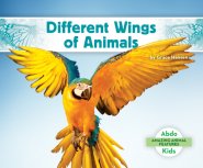 Different Wings Of Animals