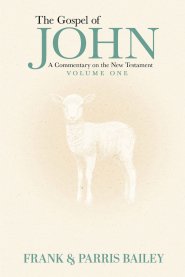 The Gospel of John A Commentary on the New Testament Volume 1