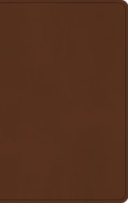 ESV Large Print Value Thinline Bible (TruTone, Camel)