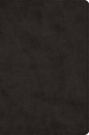 ESV Wide Margin Reference Bible, Red Letter (TruTone, Black)