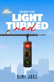 When the Light Turned Red: A Novel