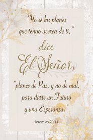 Spanish Plaque-I Know The Plans... (Yo Se Los Planes)  (Jer. 29:11) (4 x 6)