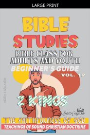 Bible Class for Adults and Youth: Beginner's Guide: 2 Kings