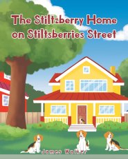 The Stiltzberry Home on Stiltsberries Street