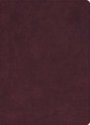 KJV Single-Column Wide-Margin Bible, Marbled Burgundy