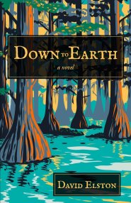 Down to Earth: A Novel