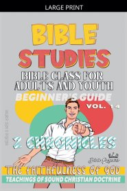 Bible Class for Adults and Youth: Beginner's Guide: 2 Chronicles
