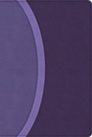 CSB Rainbow Study Bible, Purple Leathertouch