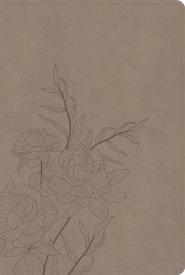 CSB Large Print Thinline Bible, Digital Study Edition