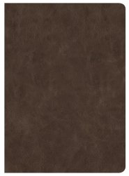 CSB Lumen Dei Bible, Lux Verbi: Verse-By-Verse Reference