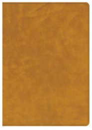 CSB Lumen Dei Bible, Lux Verbi: Verse-By-Verse Reference