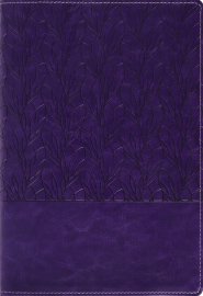 Amplified Holy Bible, Large Print, Leathersoft, Purple