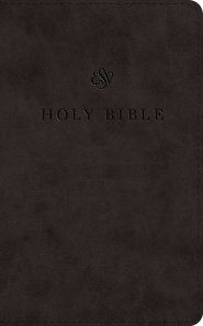 ESV Premium Church Bible, Large Print (TruTone, Black)