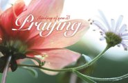 Inspirational Postcard: Thinking of You and Praying (Package of 25)