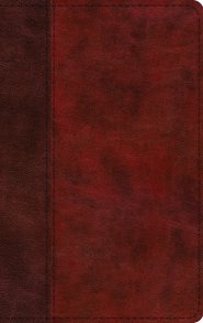 ESV Large Print Thinline Bible, Red Letter (TruTone, Burgundy/Red, Timeless Design)