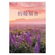 Traditional Chinese Gospel of John - Paperback