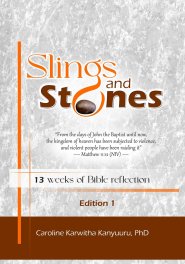 Slings and Stones: 13 weeks of Bible reflection