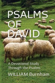 PSALMS OF DAVID: A Devotional Study Through the Psalms