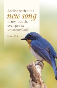 General Worship Bulletin: He Hath Put (Package of 100)