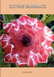 DIVINE EMBRACE New, 30 Chapter, 458page Revised Edition