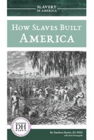 How Slaves Built America