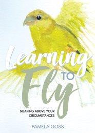 Learning to Fly: Soaring above Your Circumstances