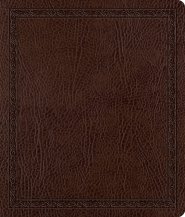 ESV Journaling Bible (Bonded Leather, Mocha, Threshold Design)