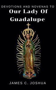 Devotions And Novenas To Our Lady Of Guadalupe