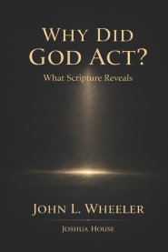 Why Did God Act?: What Scripture Reveals