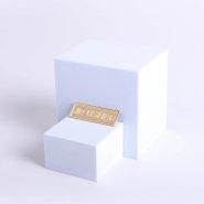 Badge Metal Jr Usher Goldtone Pin