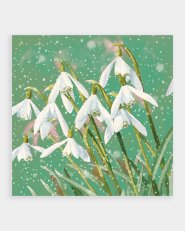 Snowdrops (Pack of 10) Leprosy Mission Christmas Cards