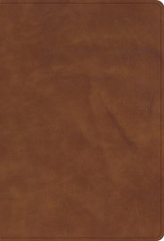 CSB Thinline Bible, Optimal Type, Marbled Chestnut Calfskin