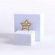 Badge Metal Usher Star Goldtone Pin