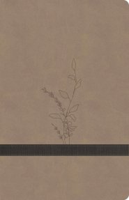 KJV Large Print Personal Size Reference Bible, Earthen Suede