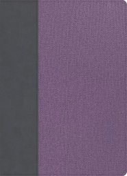 CSB Study Bible, Large Print, Gray/Lavender