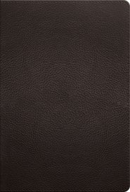 ESV Men's Study Bible (Buffalo Leather, Deep Brown)