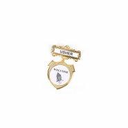 Badge Shield Usher Ethnic Praying Hands Pin