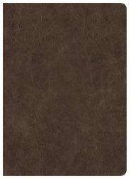 CSB Lumen Dei Bible, Lux Vitae: Single-Column Verse-By-Verse