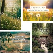 Card-Boxed-Birthday-Tony Evans (Box Of 12)