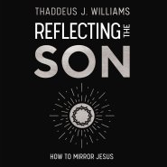 Reflecting the Son