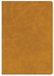 CSB Lumen Dei Bible, Lux Vitae: Single-Column Verse-By-Verse