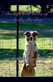 The Life and Loves of Lucky the Dog