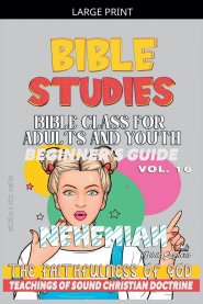Bible Class for Adults and Youth: Beginner's Guide: Nehemiah