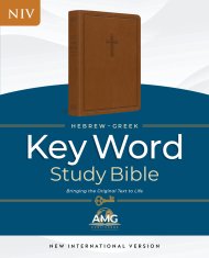Hebrew-Greek Key Word Study Bible, Brown, Indexed