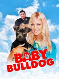 Baby Bulldog DVD