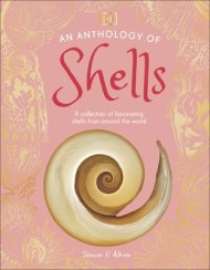 Anthology Of Shells