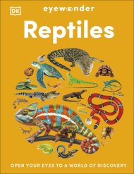 Eyewonder Reptiles