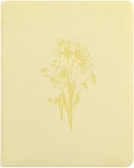 NLT Notetaking Bible: Belfast Theme