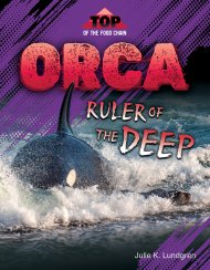 Orca: Ruler Of The Deep